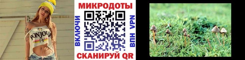Галлюциногенные грибы мухоморы  Бугуруслан 